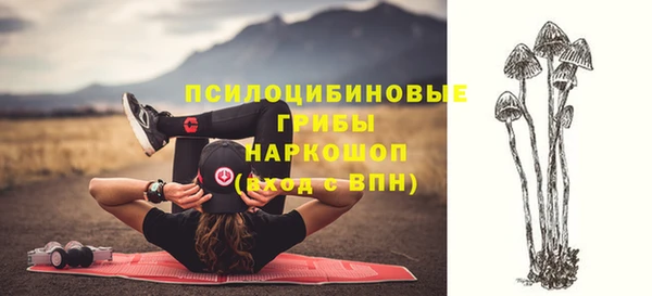 каннабис Арсеньев