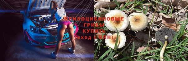 молекула духа Аркадак